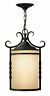153c907ceb5e43f5959447884bb7a537 Fleur De Lis Living Carlyle Outdoor Pendant 193245146630