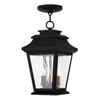 20233-04 Livex Lighting Hathaway Black 847284042469