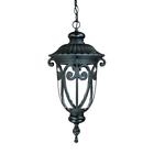 2116bk Acclaim Lighting Naples Matte Black Outdoor Pendant 878925001545
