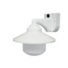 2120-l56601a-dd Polymer Products Incandescent Long Neck Wall Bracket Fixture 819969013644 2120-l56601a-dd Polymer Products Incandescent Long Neck Wall Bracket Fixture 819969013644