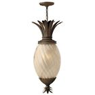 2122pz Hinkley Plantation Outdoor Pendant With Light Amber Glass 640665212204