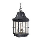 21f79c6478bd44b2be94e42061b7abd9 Fleur De Lis Living Brough Outdoor Hanging Lantern 192443024986