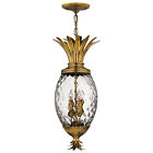 2222bb Hinkley Plantation Burnished Brass 640665222227
