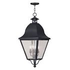 2547-04 Livex Lighting Amwell Black 847284004221
