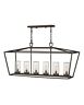 2569oz-ll Hinkley Lighting Alford Place Light Outdoor Linear Hanging 640665256932