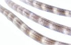 2t41a115 Celebrations Clear Pvc Rope 2t41a115 Celebrations Clear Pvc Rope