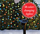 32877 Collections Etc Outdoor String 191121009222