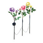 33234 Collections Etc Solar Roses 842022106793