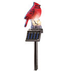 36475 Collections Etc Solar Lighted 191121014783 36475 Collections Etc Solar Lighted 191121014783
