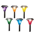 39639 Collections Etc Color Changing 191121061237 39639 Collections Etc Color Changing 191121061237