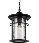 40385 Bk Trans Globe Lighting Outdoor Pendant Black Metal 736916633611