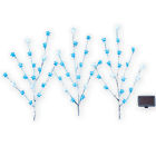 40667 Collections Etc Solar Star