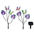 42186 Collections Etc Fluttering Floral