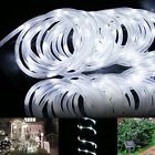 4300004-dw Lighting Ever Le 16.5ft 4300004-dw Lighting Ever Le 16.5ft