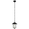 44334 Globe Electric Matthews Matte Black Outdoor Indoor Hanging 058219443347