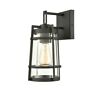 45490-1 Elk Lighting Crofton Small Outdoor Sconce Charcoal Clear 748119139197