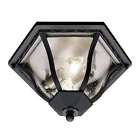 4559 Trans Globe Lighting Bc Outdoor Ceiling Light In Black Copper 736916548281