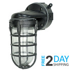 47676 Litunia Lighting Industrial Outdoor Wall Light Fixture Sconce 749730114068