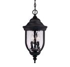 5-60328-186 Black Gold Outdoor Savoy Light Lighting House Hanging
