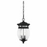 5-8096-bk Savoy House Seven Oaks Black Outdoor Hanging Lantern 822920274978