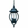 5160bk Acclaim Lighting Chateau Matte Black Outdoor Pendant 875627005239