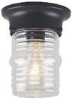 530532 Westinghouse Single Light Jelly 024034669194 530532 Westinghouse Single Light Jelly 024034669194