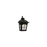 5429-1-bk Trans Globe Lighting Briarwood Outdoor Wall Light Black 736916600217