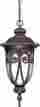45923620683 60 2068 Nuvo Corniche 1 Light 10 Inch Burlwood Outdoor Hanging Lantern
