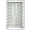 60-532 Nuvo Lighting Outdoor Wall Sconce With Patterned Glass 045923605321