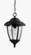 60068-12 60068 Sea Gull Lighting Lambert Hill 1 Light Outdoor Pendant Fixture With Clear 785652183041 60068-12 60068 Sea Gull Lighting Lambert Hill 1 Light Outdoor Pendant Fixture With Clear 785652183041