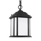 60529-12 Sea Gull Lighting Kent Convertible Light Outdoor Pendant 785652117404