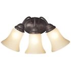 6223900 Westinghouse Trinity Ii Interior Wall Fixture Oil Rubbed