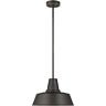 6237401-71 Sea Gull Lighting Barn Light Outdoor Pendant Or 785652097706