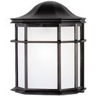 6689800 Westinghouse Wall Lights One-light 024034668982 6689800 Westinghouse Wall Lights One-light 024034668982