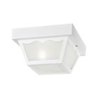 66975-00 Westinghouse Outdoor Wall Porch Lights Lighting Yard