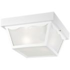 66976 22732 Westinghouse Flush-mount 2-light 024034669767 66976 22732 Westinghouse Flush-mount 2-light 024034669767