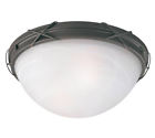 69407 22732 Westinghouse Claremont 2-light 024034694073