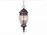 736916172301 Trans Globe Lighting Signature Light Outdoor Hanging Lantern