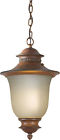 73d5057bfdb442b5ad5ebcd0a83d47b9 Charlton Home Leola Outdoor Pendant 192440646723
