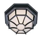 746290862 Trans Globe Lighting Outdoor Ceiling Light Fixture Flush 736916005821
