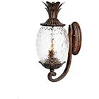 7501bc Lanai Collection Wall Mount Outdoor Fixture Black Coral 875627002382