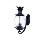 7501bk Progress Lighting Matte Black Pineapple Cut Glass Outdoor 761768364734