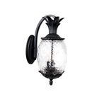 7512 Acclaim Lighting Matte Black 878925001965