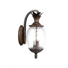 7512bc Acclaim Lanai Collection Wall Mount Outdoor Light Fixture 875627002443