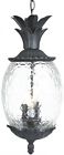 7516bk Acclaim Lighting Lanai 21-in