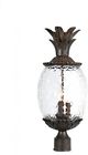 7517bc Acclaim Lanai Collection 3-light 875627002481 7517bc Acclaim Lanai Collection 3-light 875627002481