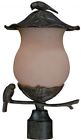 7567bc-ch Acclaim Lighting Avian 2 0875627008155