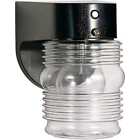 Sf77-856 77-856 Nuvo Lighting Sf Outdoor Wall Sconce With Clear 045923778568