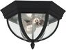 78136-12 Sea Gull Lighting Wynfield Outdoor Flush Mount Light 0785652183393 78136-12 Sea Gull Lighting Wynfield Outdoor Flush Mount Light 0785652183393