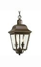 785247179312 Progress Lighting Andover 15.87-in